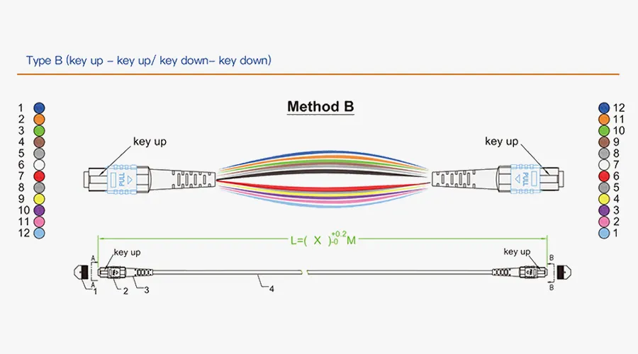 Simplified Connectivity via Type B Polarity.webp