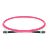1m MTP-1251 UPC OM4 Fiber Jumper OFNP Type B for DC